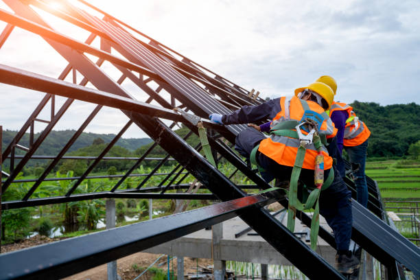 Best Roof Gutter Cleaning  in New Sarpy, LA